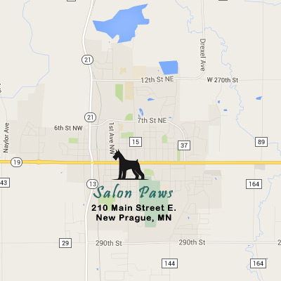 Salon Paws Dog Grooming in New Prague, MN 56071