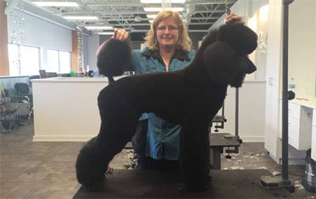 Salon Paws Dog Grooming provides Dog hair trimming and show dog clipping services in New Prague, MN